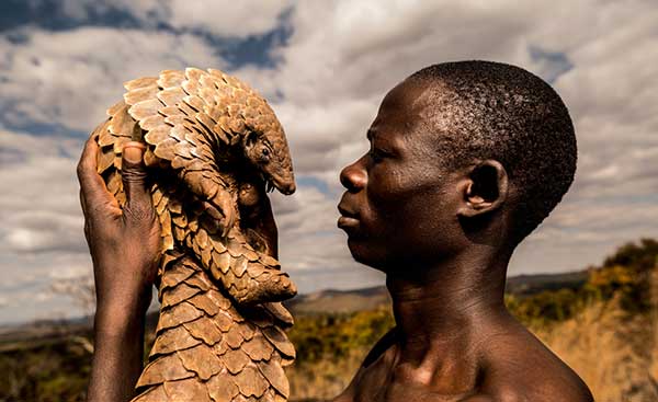 One of the Pangolin Men – by Adrian Steirn