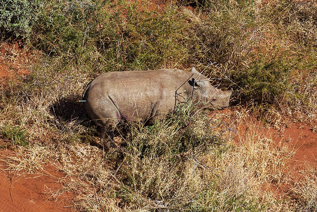 awards_wildernesssafaris