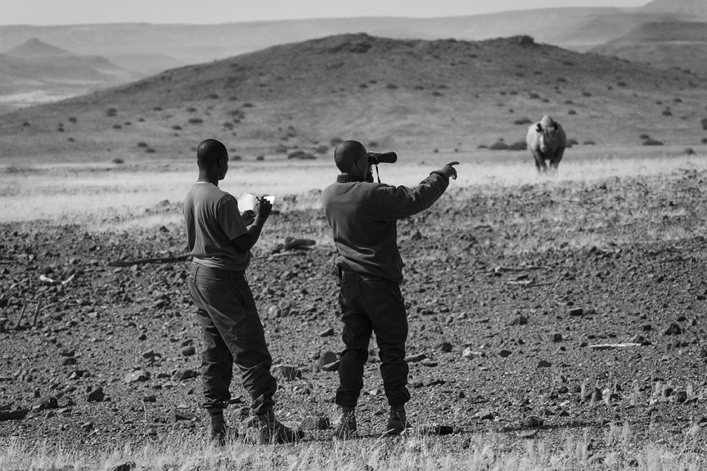 Namibia - Desert Rhino Camp 2014-08-100