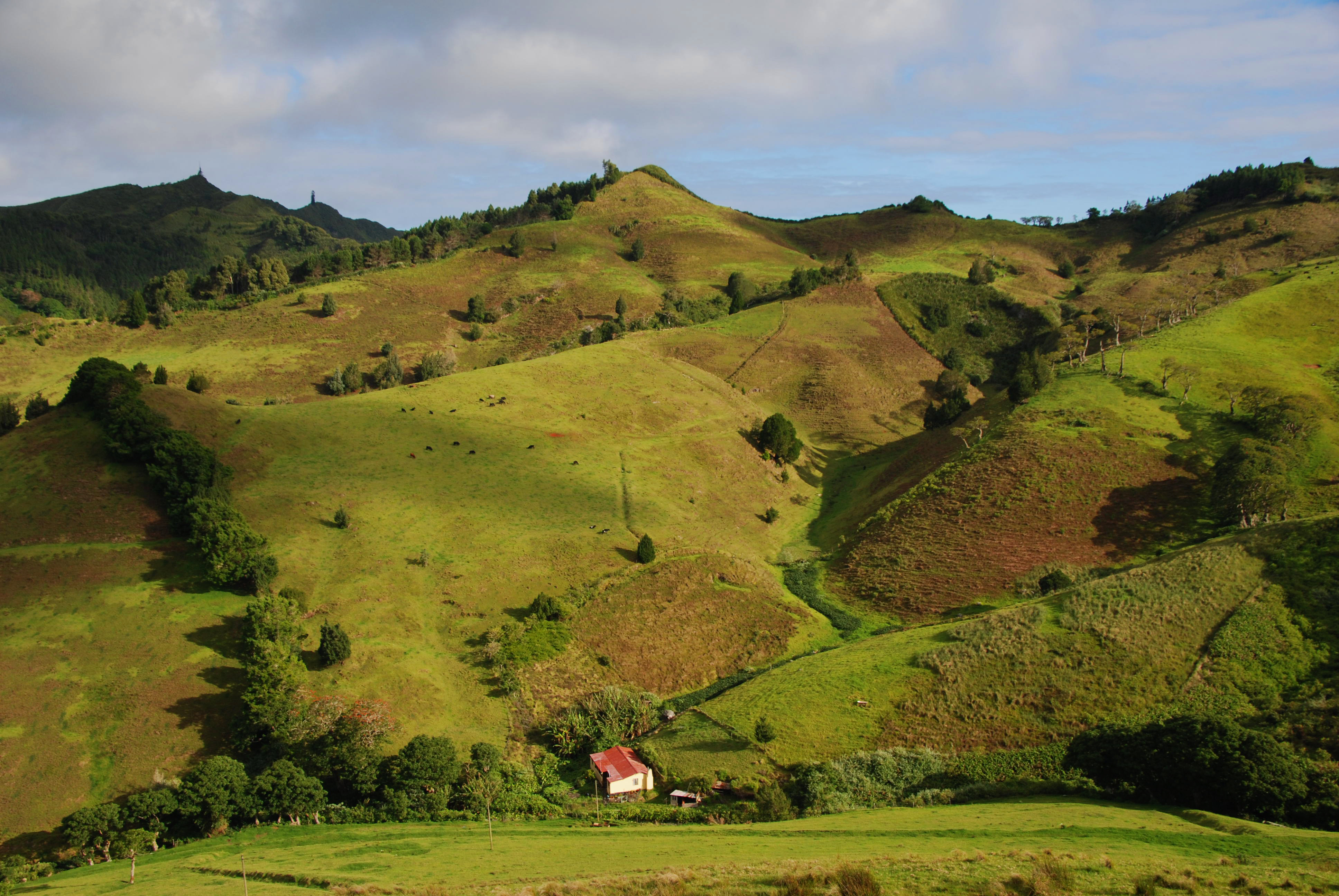 Credit: Ed Thorpe for St. Helena Tourism