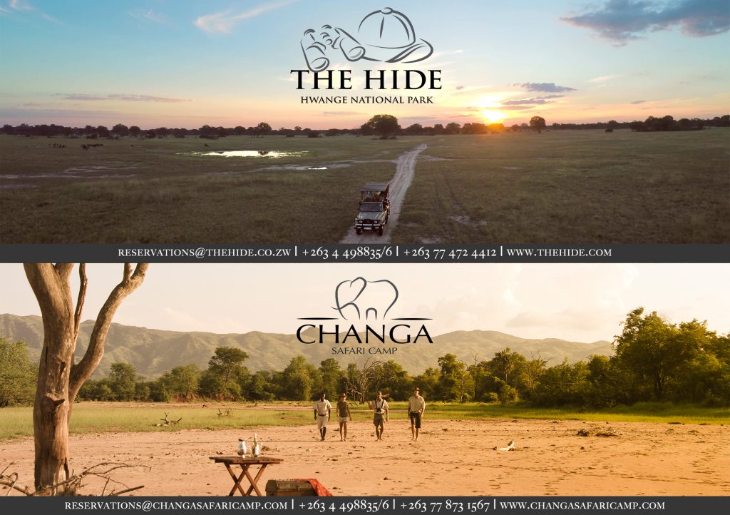 hide-and-changa-ad