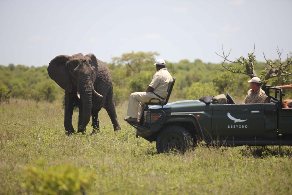andbeyond-ngala-safari-lodge-game-drive