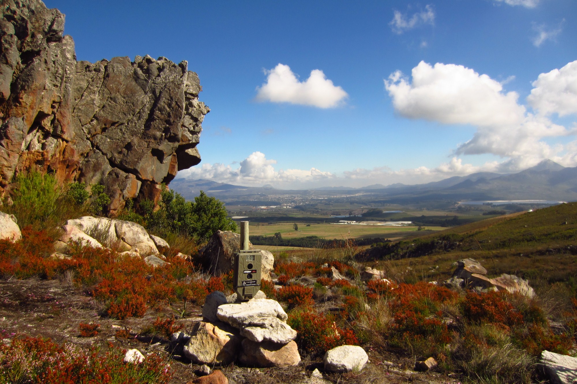 Boland camera trap [Photo: Cape Leopard Trust]