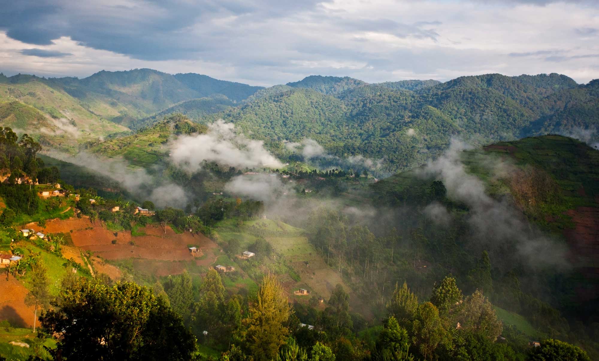 Bwindi Impenetrable National Park in Uganda