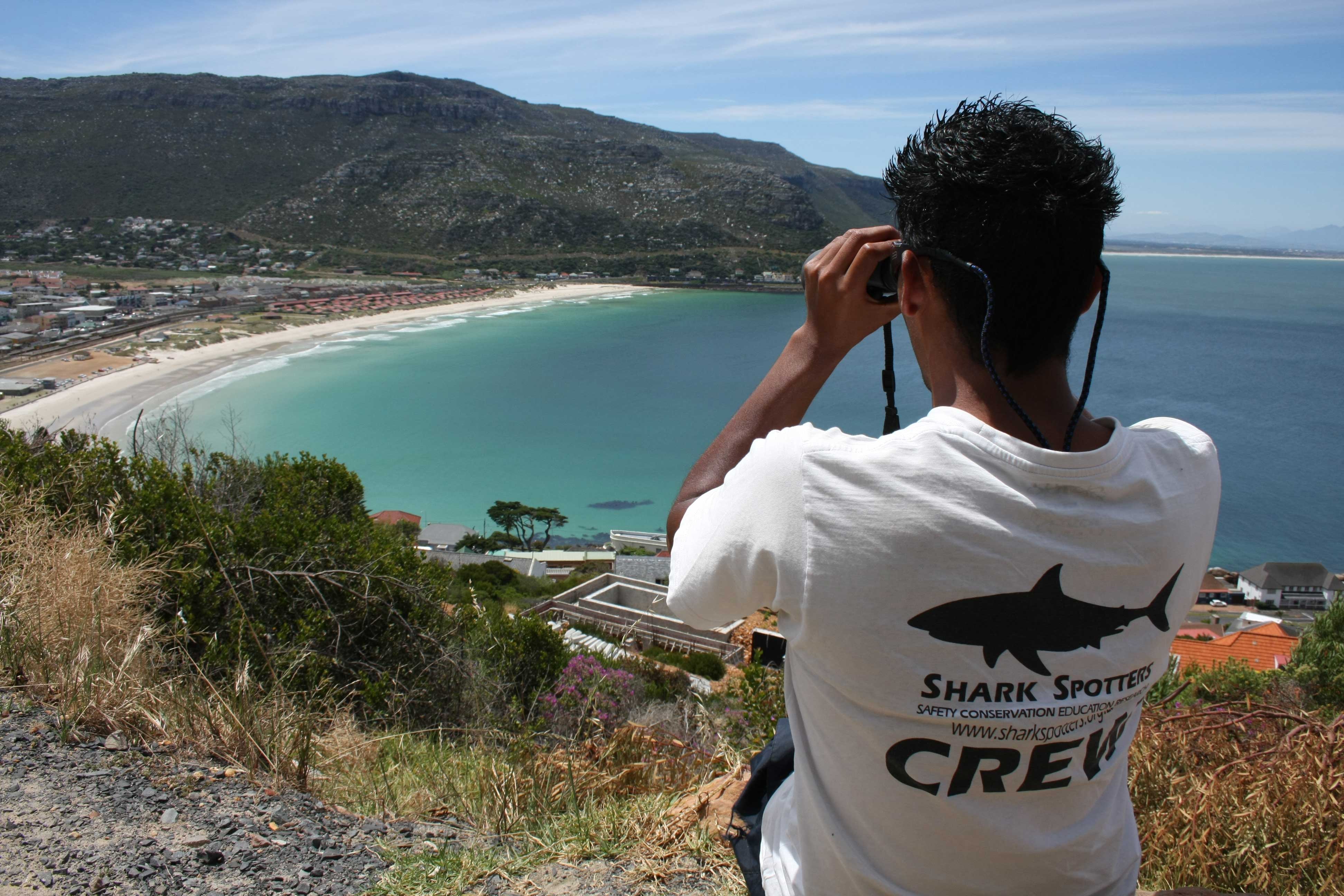 Shark spotters are strategically positioned at elevated points above popular swimming and surfing beaches. Using polarised sunglasses and binoculars they scan the water and act as an early warning system for potentially dangerous sharks coming close to shore. © Shark Spotters