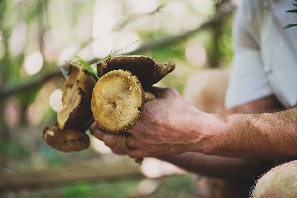 Foraging at Foliage [Photo: Claire Gunn]