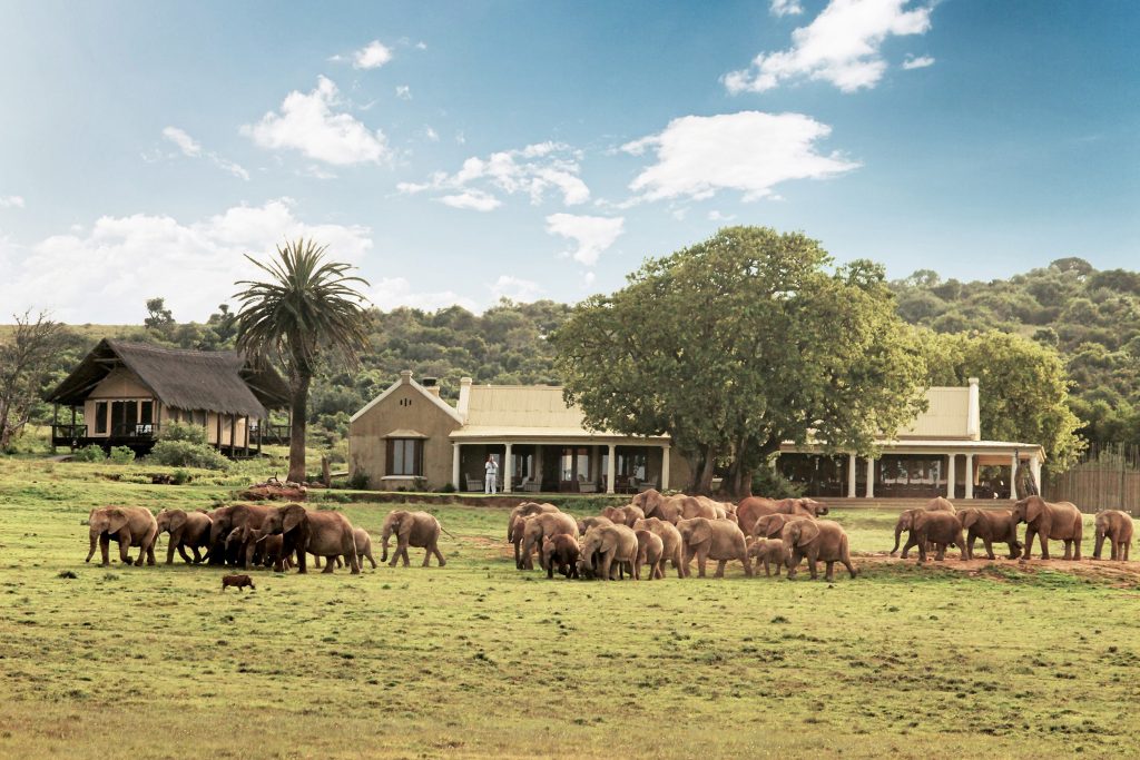 gorah-main-house-water-hole
