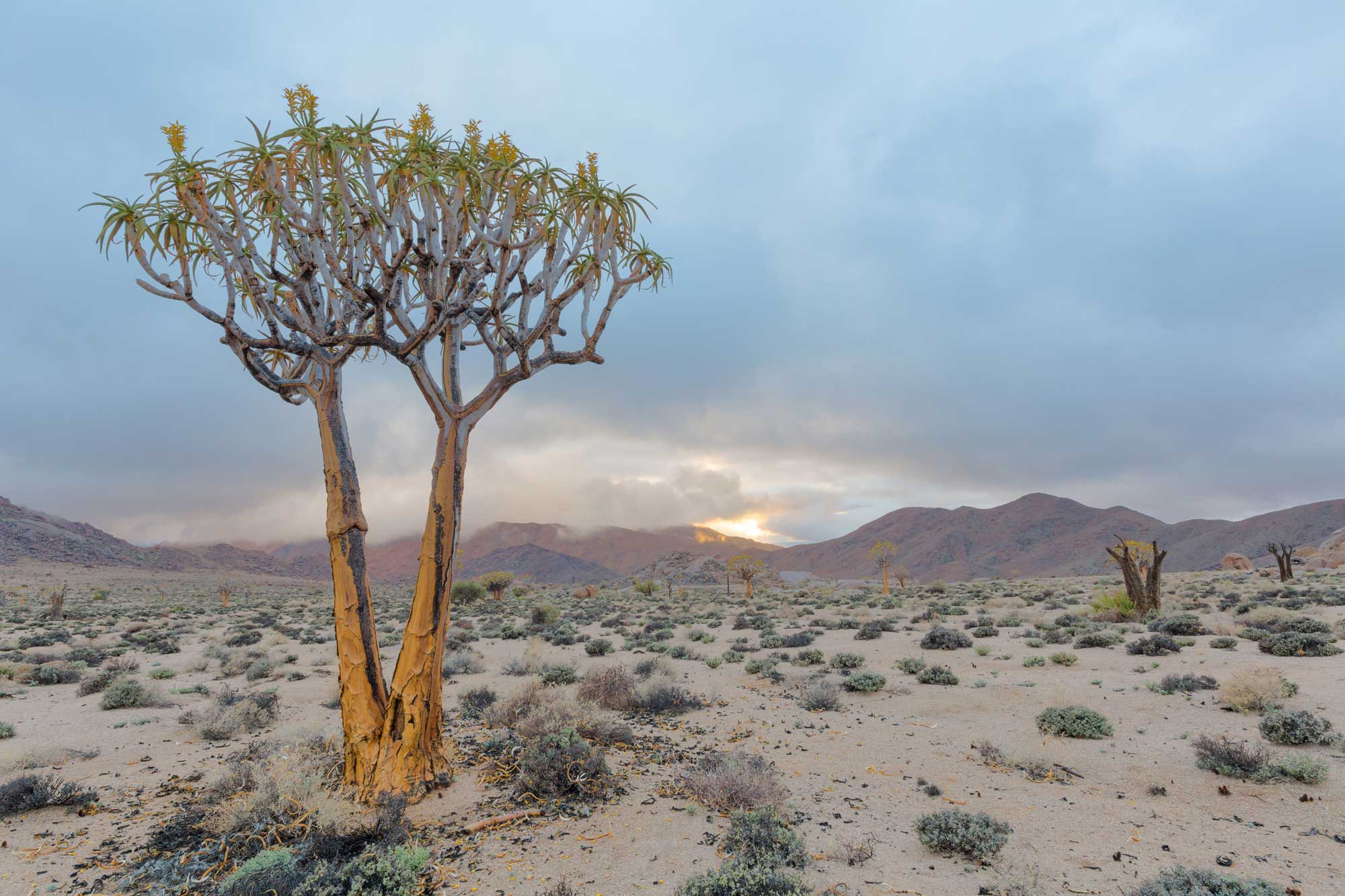 Richtersveld Cultural Landscape in South Africa