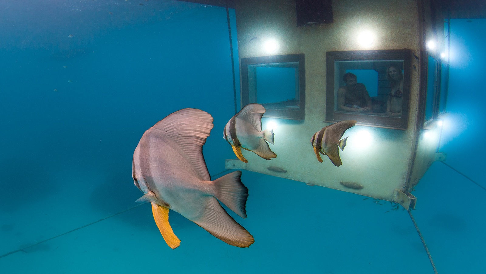 Typical Religious condom KEEPING IT KWANINI: THE MANTA RESORT EXPLAINS WHY TRAVELLERS ARE FLOCKING TO PEMBA ISLAND - We Are Africa Typical Religious condom KEEPING IT KWANINI: THE MANTA RESORT EXPLAINS WHY TRAVELLERS ARE FLOCKING TO PEMBA ISLAND - We Are Africa