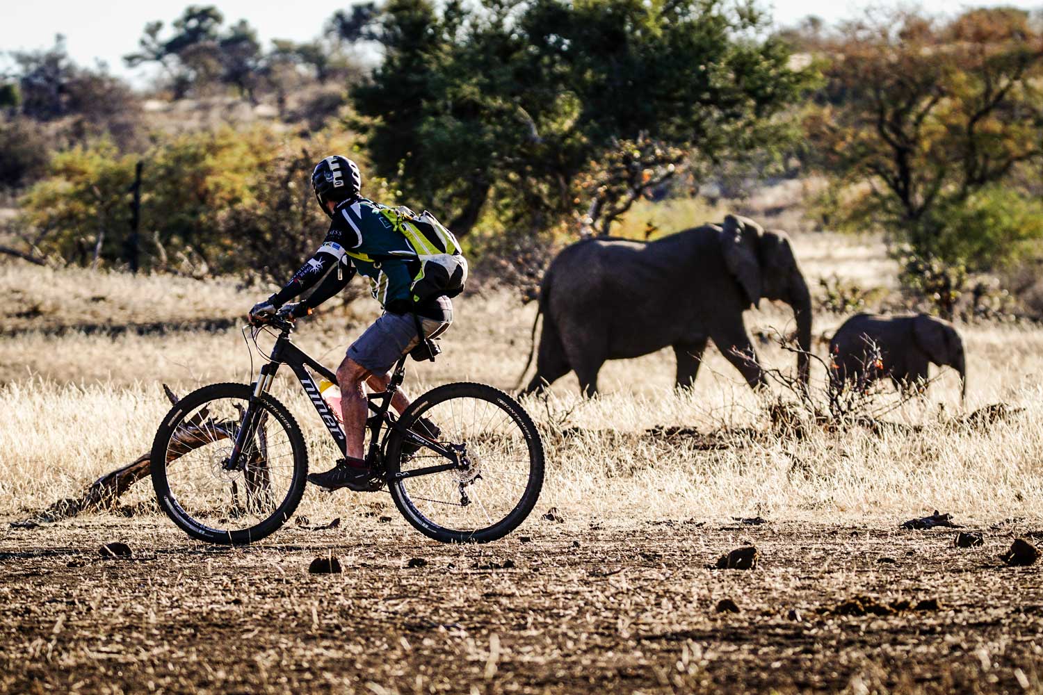 mountain bike tour south africa