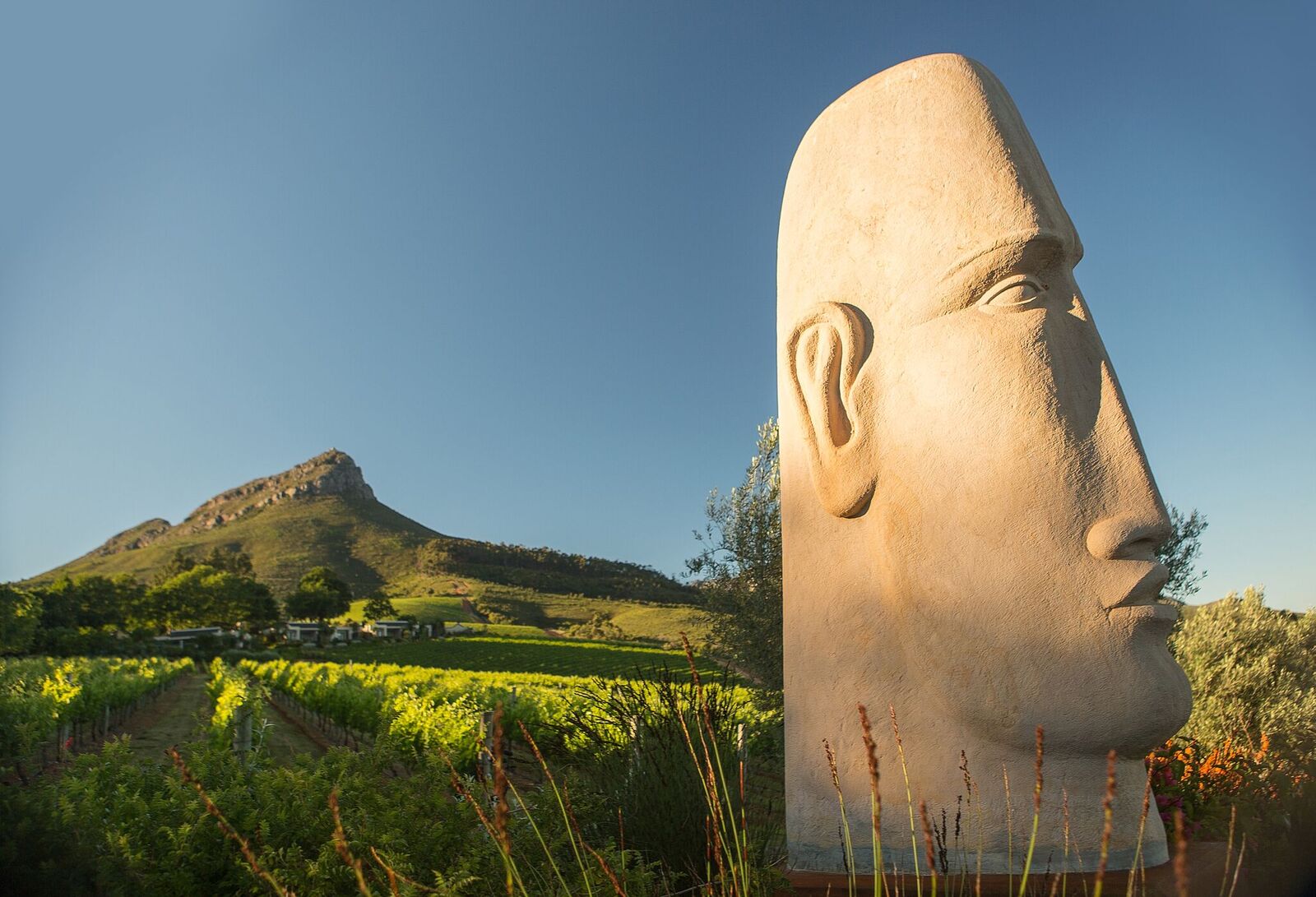 Anton Smit's Stone head