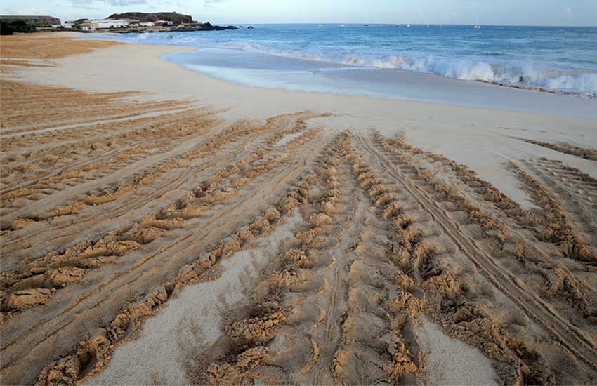 Ascension Island