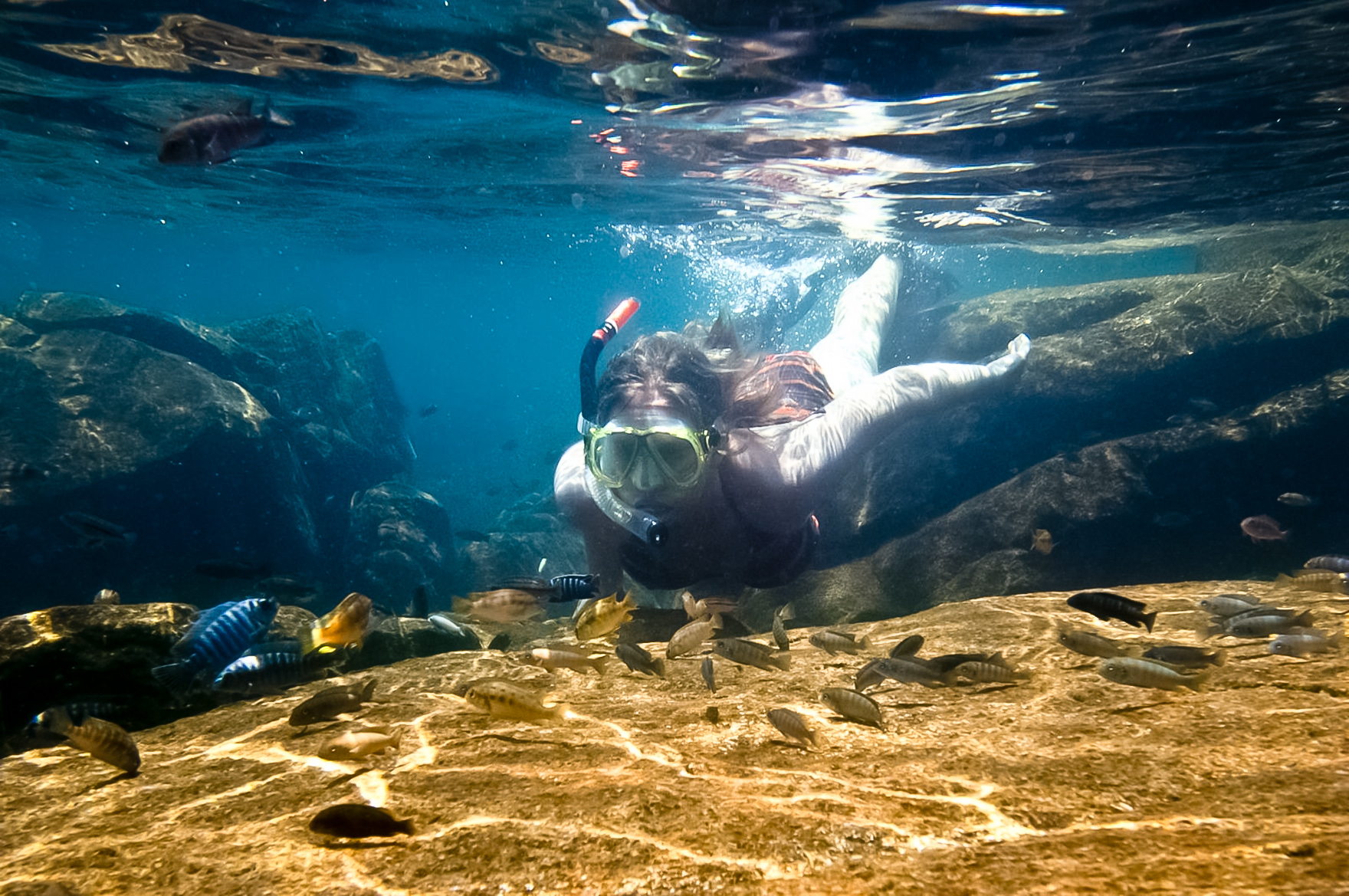 Diving to see cichlids in Lake Malawi