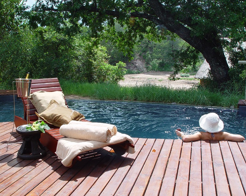 Poolside view of the surrounding nature a Seolo Africa's Rhino Lodge