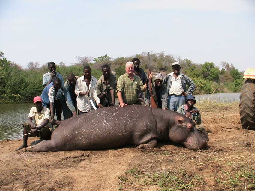 Hippo poaching – via http://bigfivehq.com/