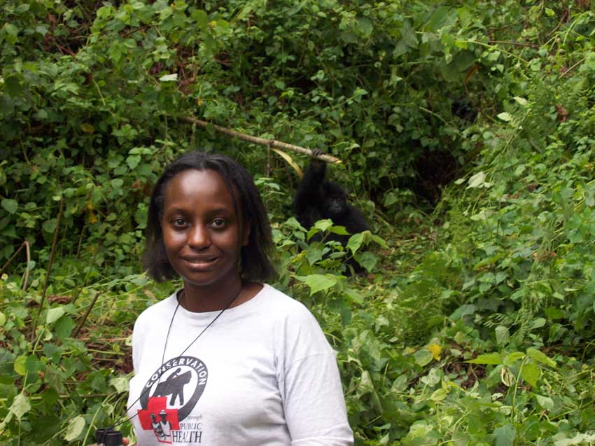 Kalema Kikusoka conducting gorilla clinical observation at Mount T – by Charles Capel