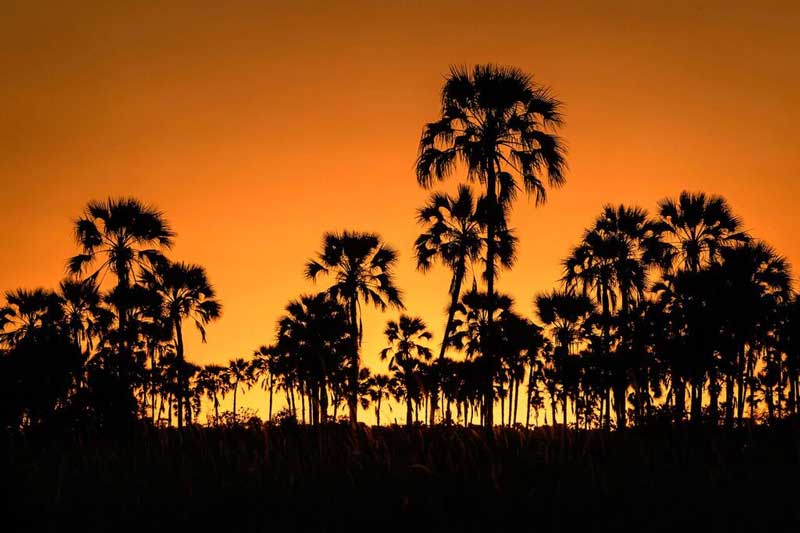 Sunset at Qorokwe