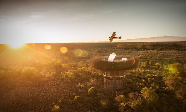 Bird Nest – photos are courtesy of Wilderness Safaris/by Jimmy Nelson