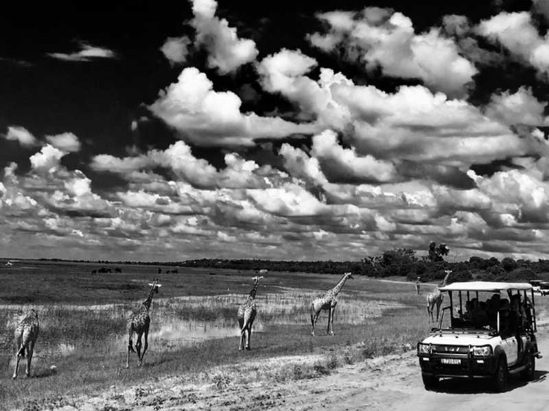 Photo taken at Chobe Safari Lodge awarded third place – by Andrew Barton