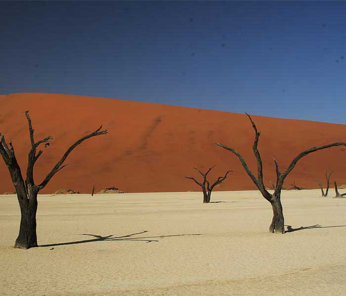 Sand dunes on the Sossuvliki Excursion –photos are via Nambia Tours & Safaris