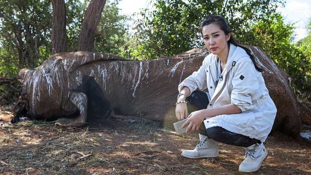 Actress and UNEP Goodwill Ambassador Li BingBing poses in front of a speared 45-year-old elephant – by Georgina Goodwin of AFP / via <a href="http://mgafrica.com/article/2015-08-13-chinese-in-africa-the-unexpected-conservationists" target="_blank" rel="noopener">Mail & Guardian Africa</a>