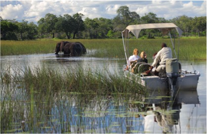 andBeyond offering chill-out time and spellbinding game-viewing at Sandibe Okavango Safari Lodge on their 2018 Post Tour – courtesy of andBeyond