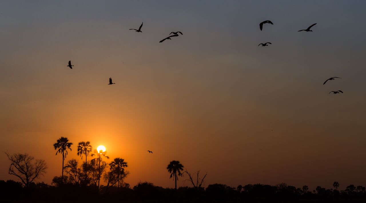 Landscape in Botswana by Qorokwe