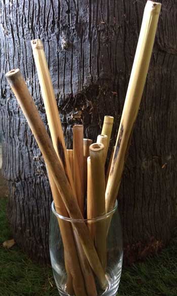 Great Plains Conservation straws made out of letaka reeds – courtesy of Great Plains Conservation