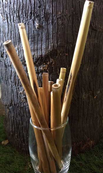Great Plains Conservation straws made out of letaka reeds – courtesy of Great Plains Conservation