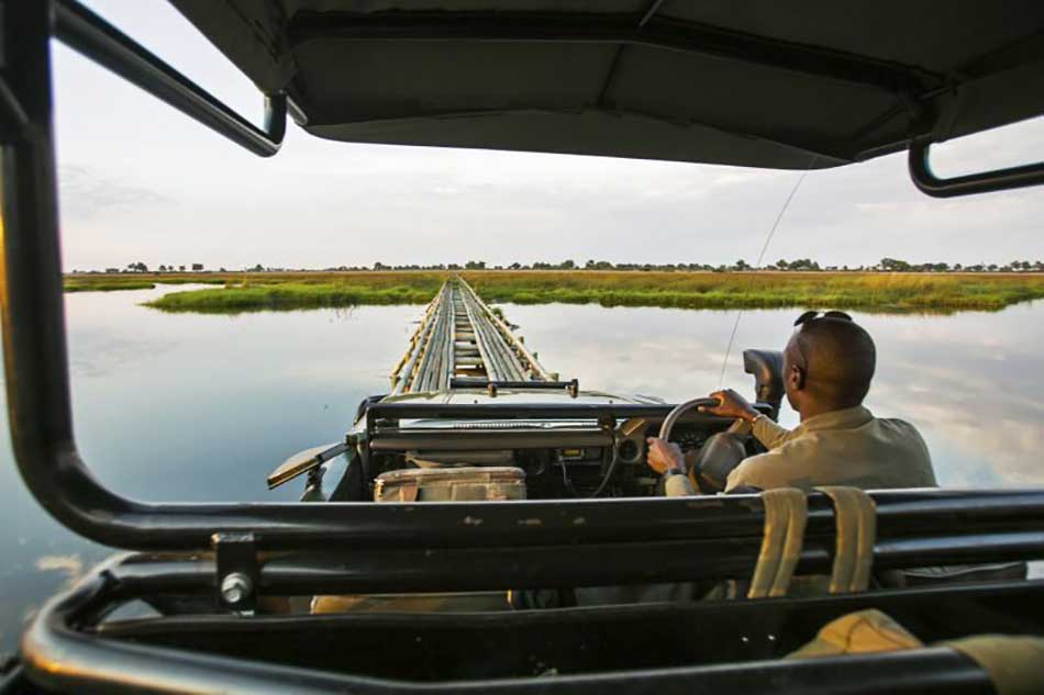 Photo taken on a Pangolin Photo Safaris' Duba Explorers Camp experience – photos are courtesy of Pangolin Photo Safaris