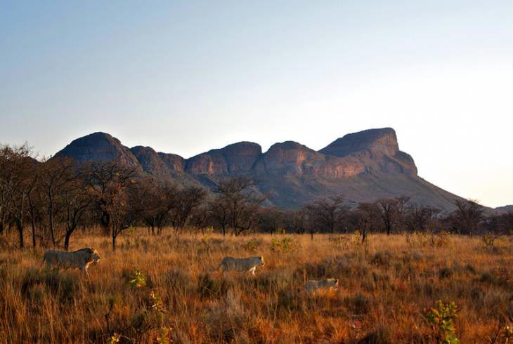 Waterberg Mountains