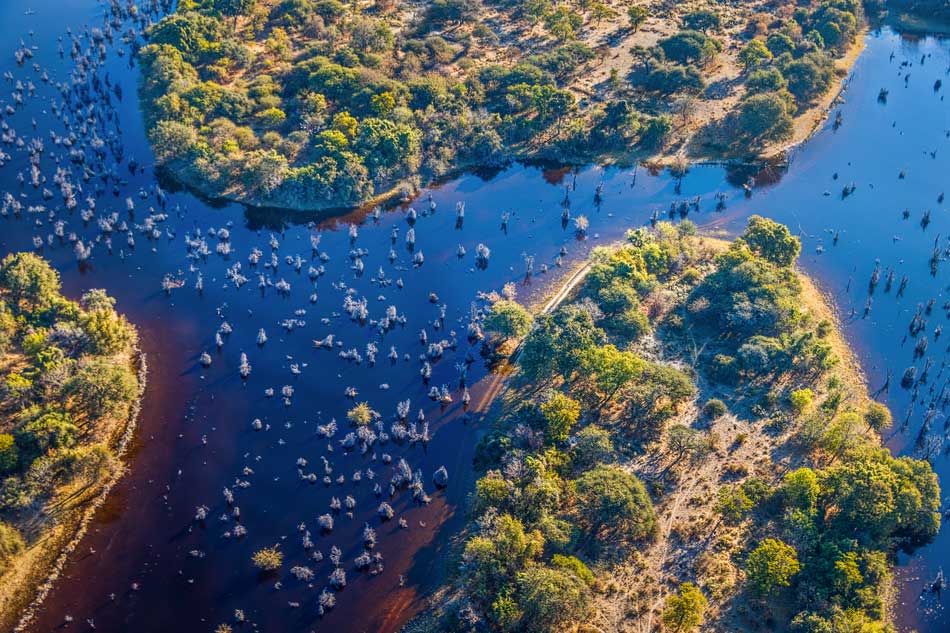 Okavango Delta 