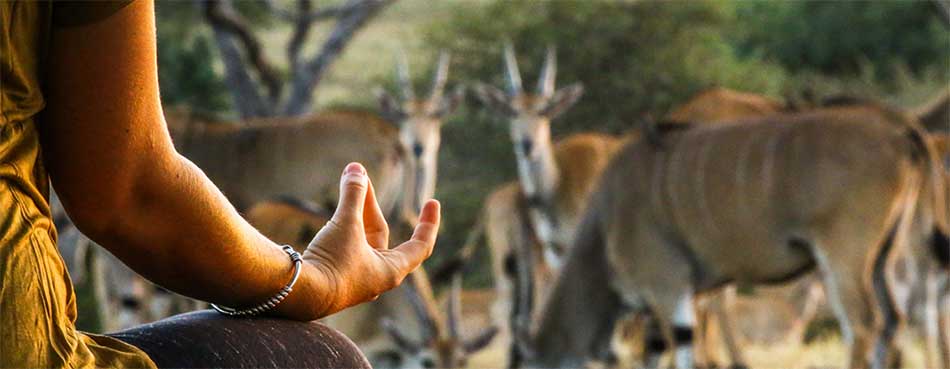 Wild Yoga from Great Plains Conservation – via Great Plains Conservation