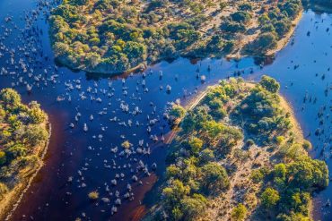 Okavango Delta