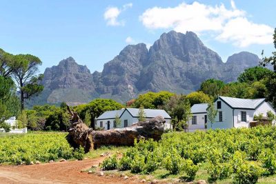 Werf Cottages at Boschendal Farm