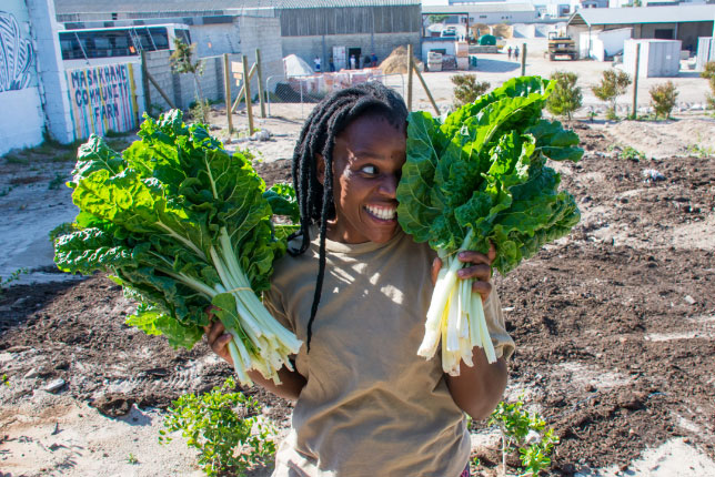 GROOTBOS FOUNDATION