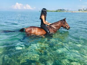 Zanzibar horse in sea